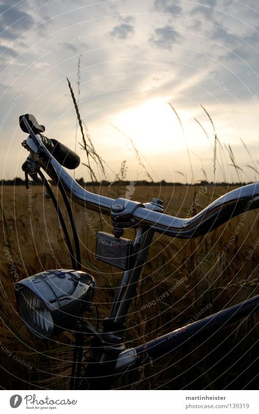 Ein Rad im Kornfeld Fahrrad Sonnenuntergang unterwegs Dämmerung Feld ruhig Erholung Romantik Wolken Ferne Einsamkeit Sommer Sommerabend Getreide Abend gold