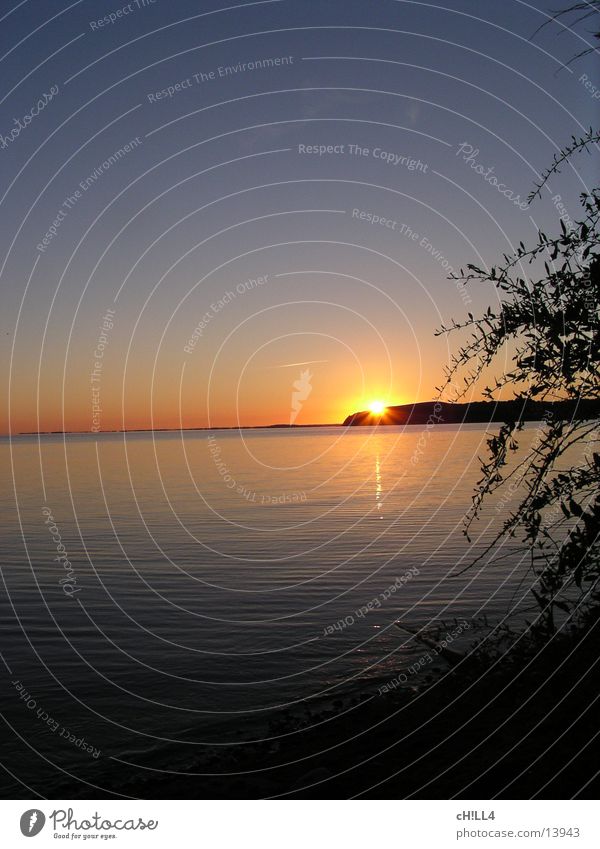 Rügener Sonnneuntergang Sonnenuntergang Baum Meer Wasser Ostsee Abend Reflexion & Spiegelung Himmel Zweig