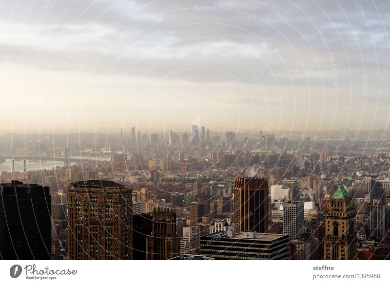 NYC |10 New York City Manhattan USA Stadt Stadtleben Hochhaus Skyline ästhetisch Freiheit Amerika Brooklyn Morgen Sonnenaufgang