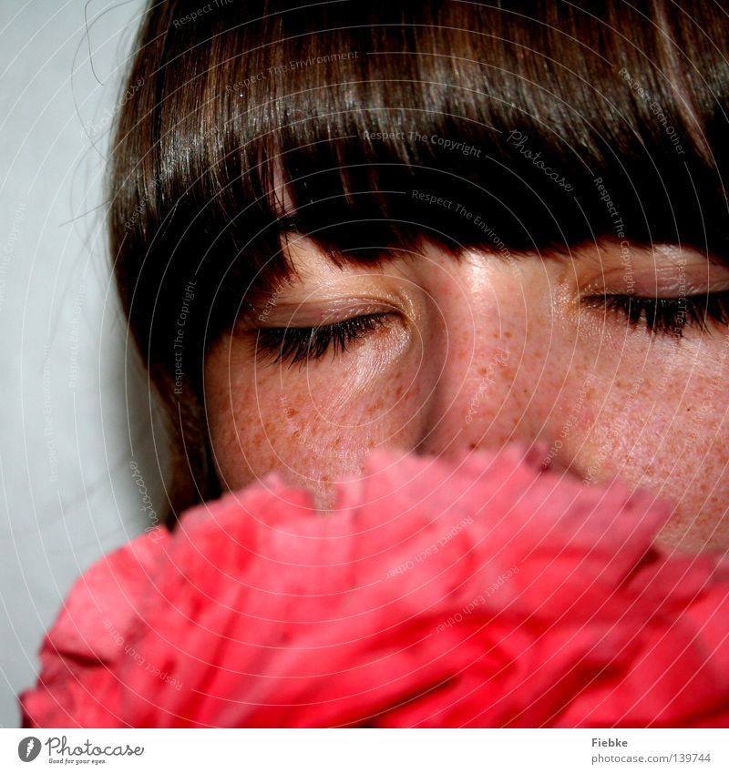 Paper Flower Blume Papierrosen rot Mensch Jugendliche Frau feminin Pony Auge geschlossen Nase Wimpern Sommersprossen Haare & Frisuren braun Gesicht Kopf Wange