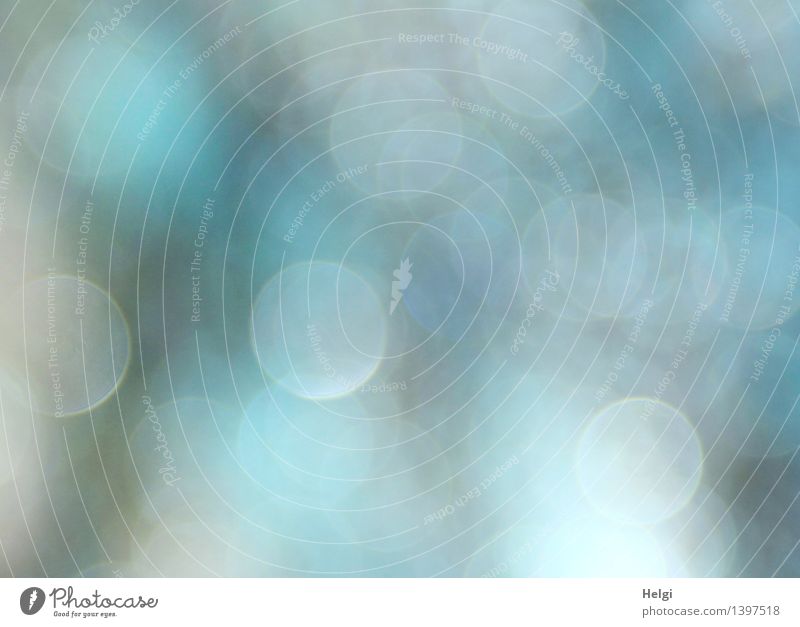 Traum | °°° Kreis leuchten außergewöhnlich fantastisch einzigartig kalt blau bizarr Farbe Leichtigkeit träumen Irritation Lichtpunkt Lichtspiel Lichteffekt