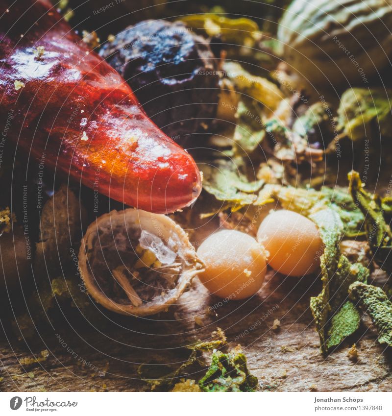 Gewürzmischung II Lebensmittel Kräuter & Gewürze Ernährung Gesunde Ernährung Essen Foodfotografie ästhetisch lecker genießen kochen & garen Chili Koriander