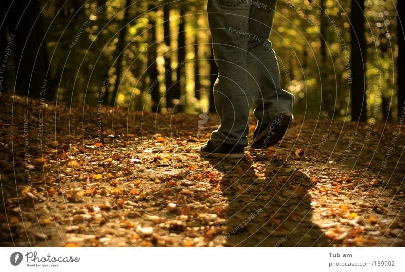Füße im Licht Blatt Wald Herbst fallen Beine Schuhe Schuhsohle Schatten Fleck Baum laufen gehen Spaziergang Waldspaziergang dreckig drehen orange grün Jeanshose