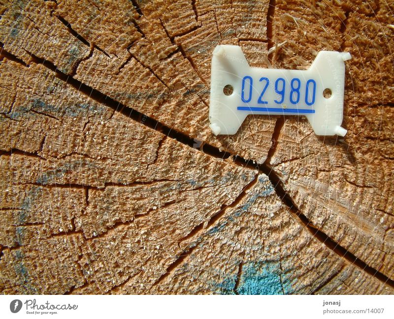 Holznummer zählen gefallen Ziffern & Zahlen Dinge Statue Strukturen & Formen
