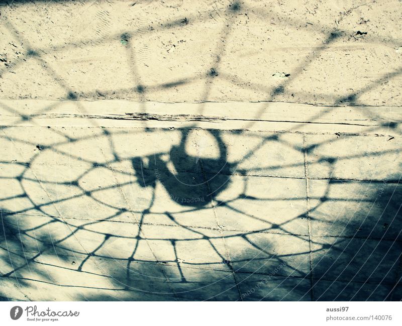 Aracs Spinne Spielplatz Extremsport Spinnenetz Bewegungsdrang Superhelden Netz Spider schwarze Witwe