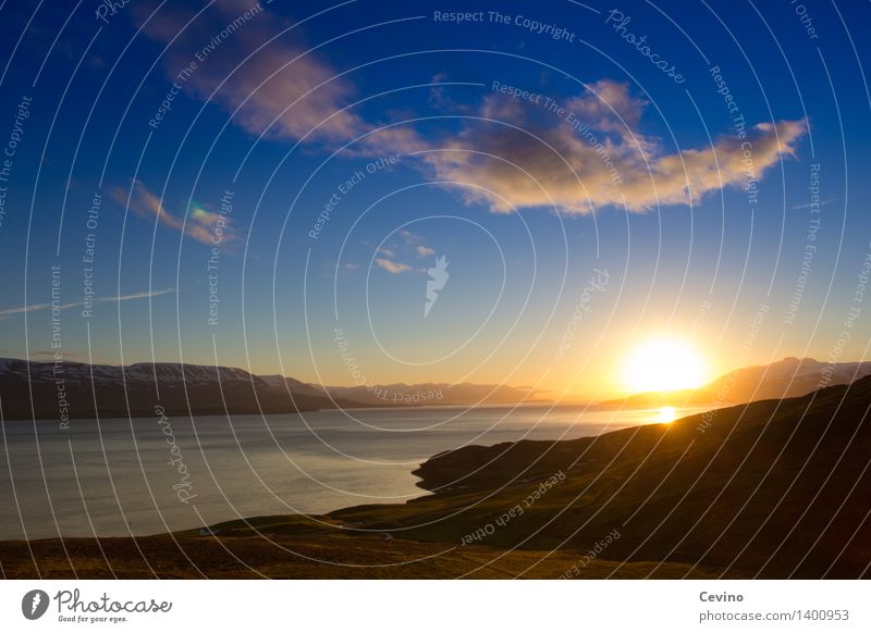Tschüss, bis morgen! Landschaft Himmel Wolken Sonne Sonnenaufgang Sonnenuntergang Sonnenlicht Schönes Wetter Fjord Akureyri Island Europa schön Sehnsucht Sunset