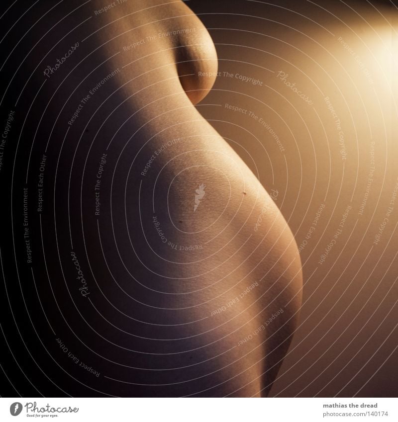HÜGELLANDSCHAFT schwanger Bauch Mutter Detailaufnahme Bildausschnitt Anschnitt Weiblicher Akt nackt Vor hellem Hintergrund Schatten Verlauf Kunstlicht