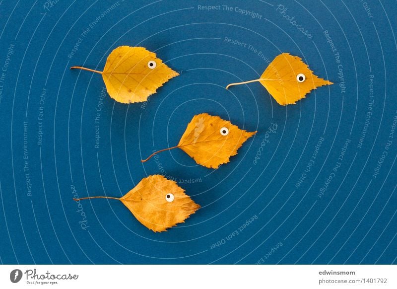 Fische Freizeit & Hobby Spielen Basteln Kinderspiel Herbst Blatt 4 Tier Papier Blick leuchten dehydrieren Coolness einfach Fröhlichkeit lustig blau gelb Freude