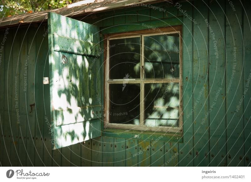 Rustikaler Bauwagen Wald Haus Hütte Gebäude Fenster Fensterladen Holzhaus glänzend leuchten Häusliches Leben alt einfach blau grau grün weiß Stimmung