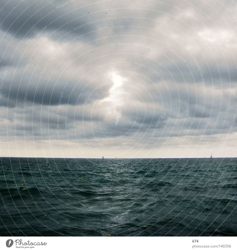 Seestück Meer Wasser Urelemente Wolken Himmel Vogel Wasserfahrzeug Segeln maritim Wellen Sturm Wind glänzend Licht blau Natur Wandel & Veränderung Meteorologie