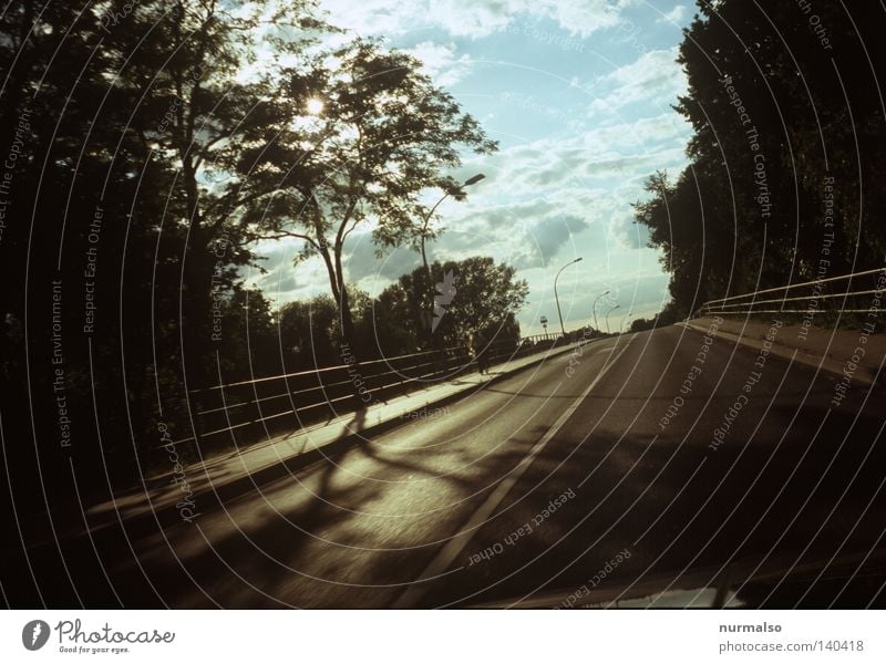 Fahrt in den Morgen fahren KFZ Licht Straße Baum Brückengeländer Geländer gold schön Wege & Pfade Ziel Reisefotografie Ferien & Urlaub & Reisen Motorhaube