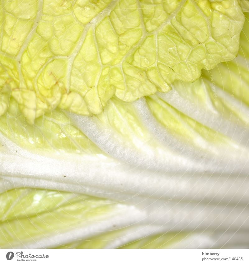 salat parat Salat Gesundheit Vitamin Strukturen & Formen Vegetarische Ernährung Rohkost Blatt Ernte Lebensmittel Zutaten lecker Makroaufnahme Mahlzeit Kochbuch
