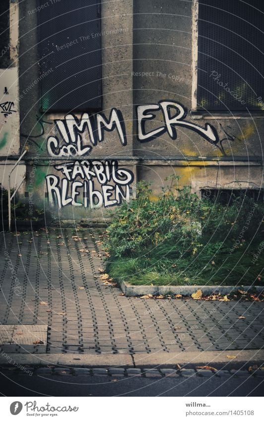 Immer cool farbig bleiben - Farbe bekennen Subkultur Schriftzeichen Graffiti dunkel Stadt schmuddelig Coolness Schmiererei Wand verfallen Text