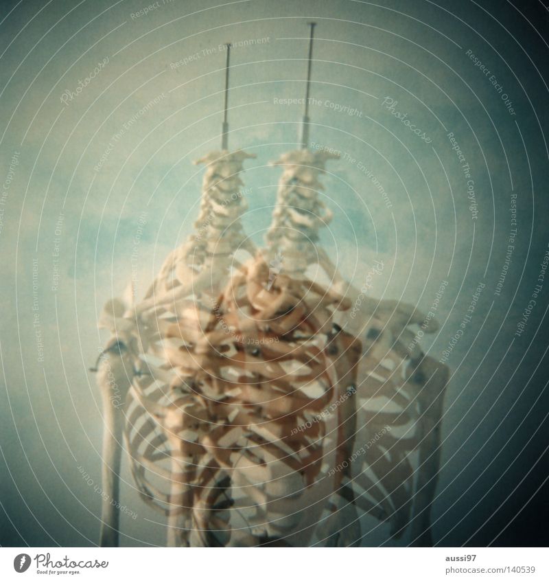 Obere Extremität Doppelbelichtung Italien Skelett Ossis Arzt Anatomie Rippen Brustkorb Speichen Finger Hand analog Mittelformat Wissenschaften Lomografie