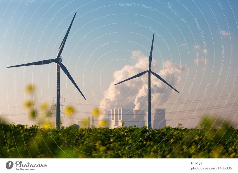 Konkurrenz Kraftwerk Neurath Energiewirtschaft Erneuerbare Energie Windkraftanlage Kohlekraftwerk Wolkenloser Himmel CO2 Sommer Herbst Klimawandel
