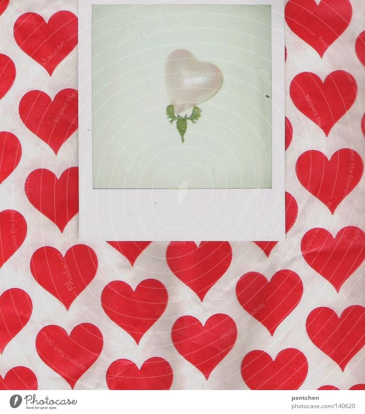 Kitsch. Liebe, romantik, Herzen. Polaroid liegt auf Papier mit Herzmuster und zeigt ein Geweih mit einem herzluftballon Valentinstag Luftballon Zeichen rosa rot