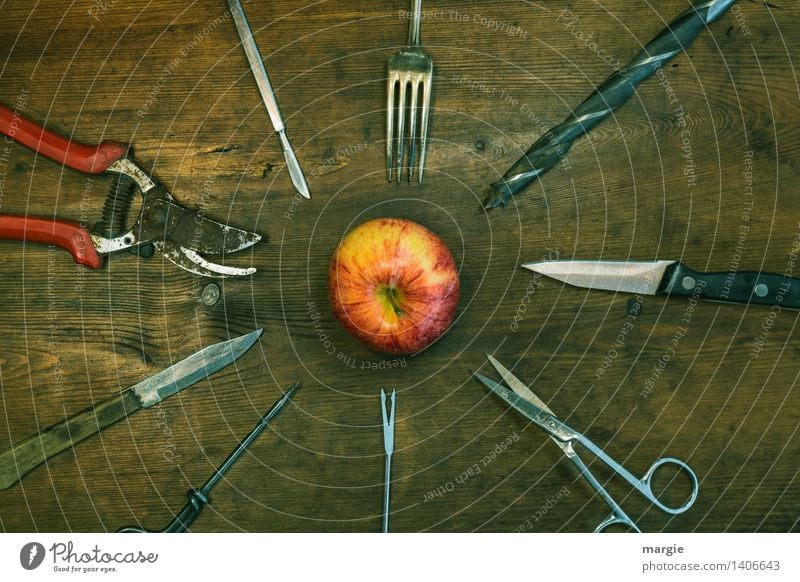 Spießer: spitze Gegenstände, wie Scheren, Messer, Gabel, Bohrer sind um einen Apfel geordnet Lebensmittel Frucht Ernährung Basteln heimwerken Beruf Handwerker