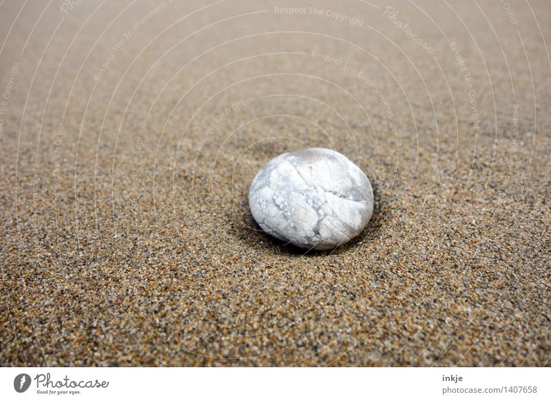Sandstein Natur Strand Kieselsteine Stein hell klein maritim rund weich braun weiß rein beige geschliffen Glätte einzeln Muster Farbfoto Gedeckte Farben