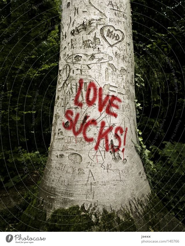 LOVE SUCKS! Baum Zeichen Schriftzeichen Graffiti Herz Liebe Wut braun rot schwarz Gefühle Traurigkeit Liebeskummer Enttäuschung Einsamkeit Verzweiflung Ärger