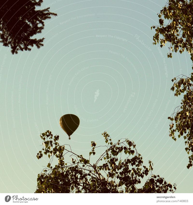 leichter als luft. Ballone Luft retro Sträucher Baum träumen schimmern glänzend Wunsch Zufriedenheit Wind Pilot brechen aufsteigen hoch Absturz schön elegant