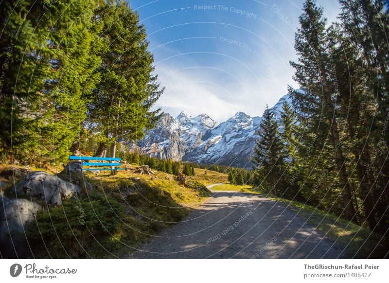 Swiss-Beauty Umwelt Natur Landschaft blau braun grau grün schwarz weiß Wege & Pfade Bank Berge u. Gebirge Baum Wald Schnee Wolken Stein wandern Schweiz