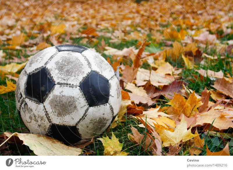 Herbstspiel Sport Ballsport Fußball alt Wiese Gras Kontrast Freizeit & Hobby herbstlich Herbstlaub Herbstfärbung Herbstlandschaft rund Farbfoto mehrfarbig