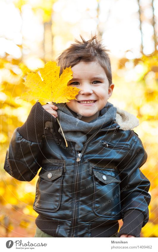 ein blatt Kleinkind Junge Kindheit 1 Mensch 3-8 Jahre schön Herbst herbstlich Herbstfärbung Herbstlaub Herbstbeginn Herbstwald Fröhlichkeit lachen Farbfoto Tag