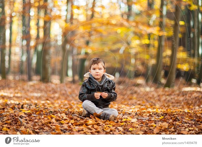 Im Wald Kind Kleinkind Junge Kindheit Leben 1 Mensch 3-8 Jahre Natur Herbst Schönes Wetter sitzen schön Schneidersitz Blick anschauend warten Einsamkeit brünett