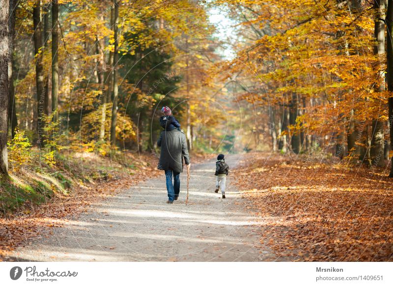 Wanderschaft maskulin Kind Baby Kleinkind Mann Erwachsene Eltern Vater Geschwister Bruder Kindheit Leben 3 Mensch 1-3 Jahre 3-8 Jahre 30-45 Jahre gehen Herbst