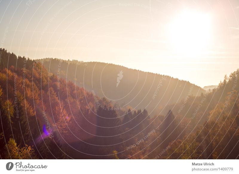 Waldhügel im Sonnenlicht Umwelt Natur Landschaft Himmel Sonnenaufgang Sonnenuntergang Herbst Schönes Wetter Wärme Baum Hügel Herbstwald Laubwald Mischwald Ebene