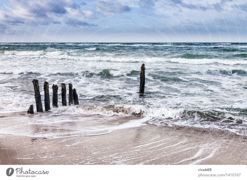 Buhnen an der Küste der Ostsee Erholung Ferien & Urlaub & Reisen Strand Meer Wellen Natur Landschaft Wasser Wolken Sturm Holz blau Tourismus