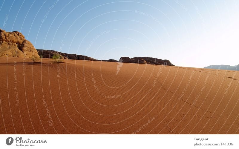 Wadi Ram Sommer Erde Sand Wärme Dürre Felsen Wüste exotisch groß Unendlichkeit heiß trocken Willensstärke Weisheit Durst Sehnsucht Einsamkeit Jordanien Spuren