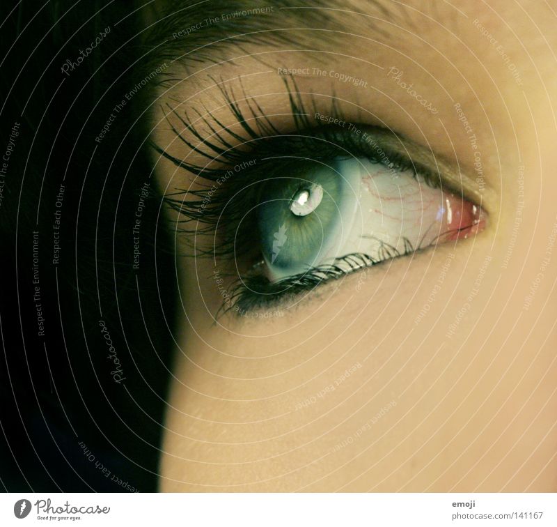 Augenaufschlag Gefäße nah Pupille schwarz dunkel Lampe Reflexion & Spiegelung rund Nahaufnahme Makroaufnahme Kontaktlinse grün Wimpern Kajal Wimperntusche