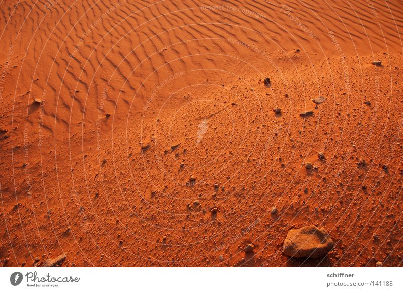 Sandküste Wüste beige Sandbank Erde Wellen Dürre Sturm Wind Sandverwehung Gras Grasbüschel Spuren Sonnenuntergang trocken unfruchtbar verbrannt wehen Jordanien
