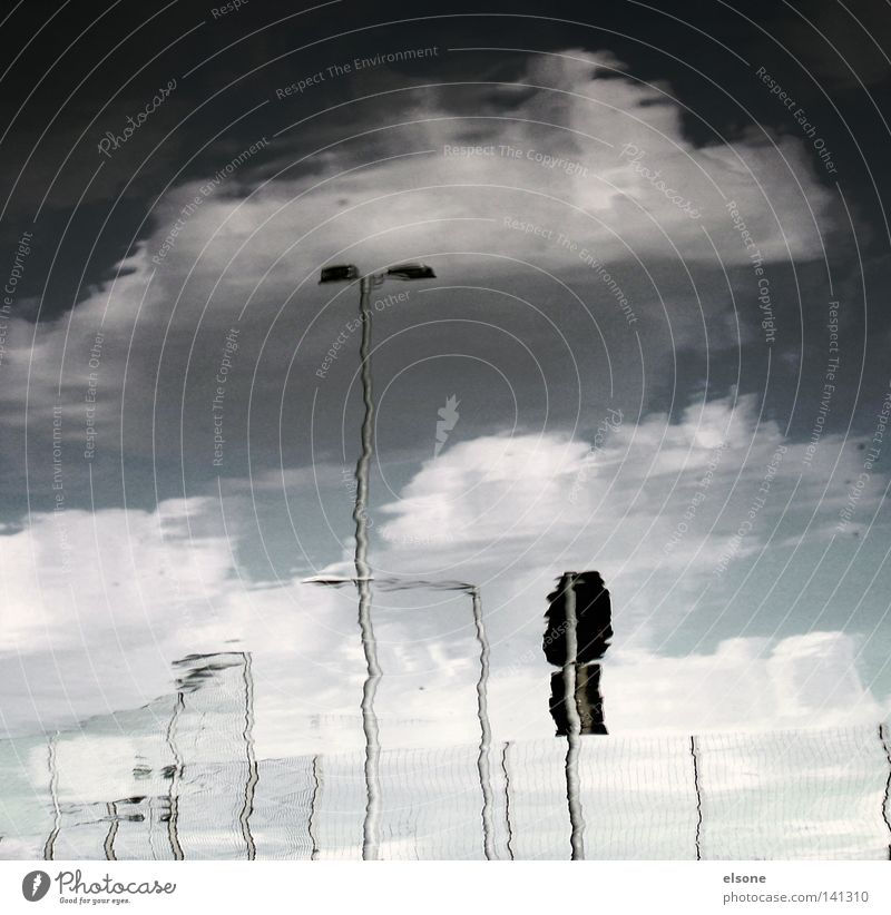 ::[..._.]:: Laterne Licht Schilder & Markierungen Verkehrsschild Wasser Pfütze Reflexion & Spiegelung Wolken Detailaufnahme refelektion