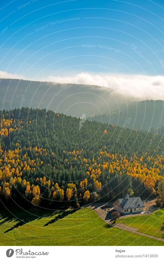 Blick auf die herbstlich verfärbten Wälder der Vogesen Tourismus Ferne Berge u. Gebirge Natur Himmel Herbst Nebel Blatt Wald Hügel blau gelb Rocher de Dabo