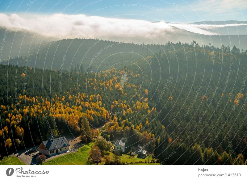Blick auf die herbstlich verfärbten Wälder der Vogesen Tourismus Ferne Berge u. Gebirge Natur Himmel Herbst Nebel Blatt Wald Hügel blau braun mehrfarbig gelb