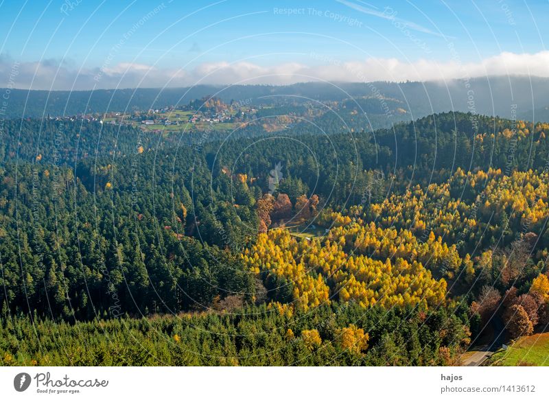 Blick auf die herbstlich verfärbten Wälder der Vogesen Tourismus Ferne Berge u. Gebirge Natur Wolken Herbst Nebel Baum Blatt Wald Hügel Gipfel blau braun