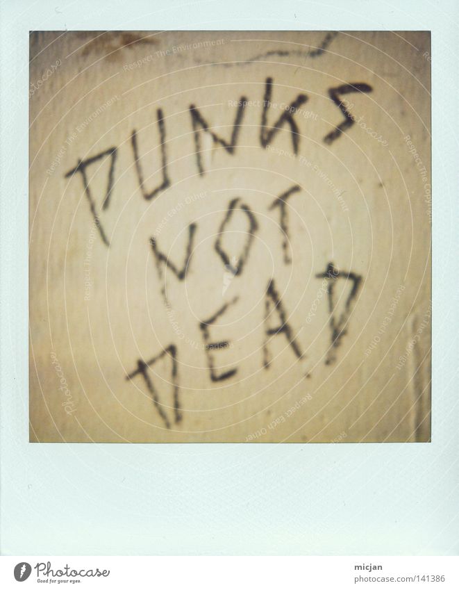 HH08.2 - Dead's not Punk! Punkrock Tod Redewendung Wand Mauer Polaroid Papier analog braun Schriftzeichen Typographie Handschrift Graffiti notleidend Verneinung
