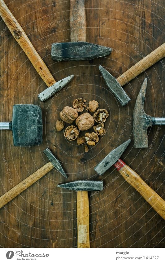 Gewaltenteilung: verschiedene Hammer angeordnet um Walnüsse im Hochformat Lebensmittel Bioprodukte Vegetarische Ernährung Nussschale Nussknacker Handwerker