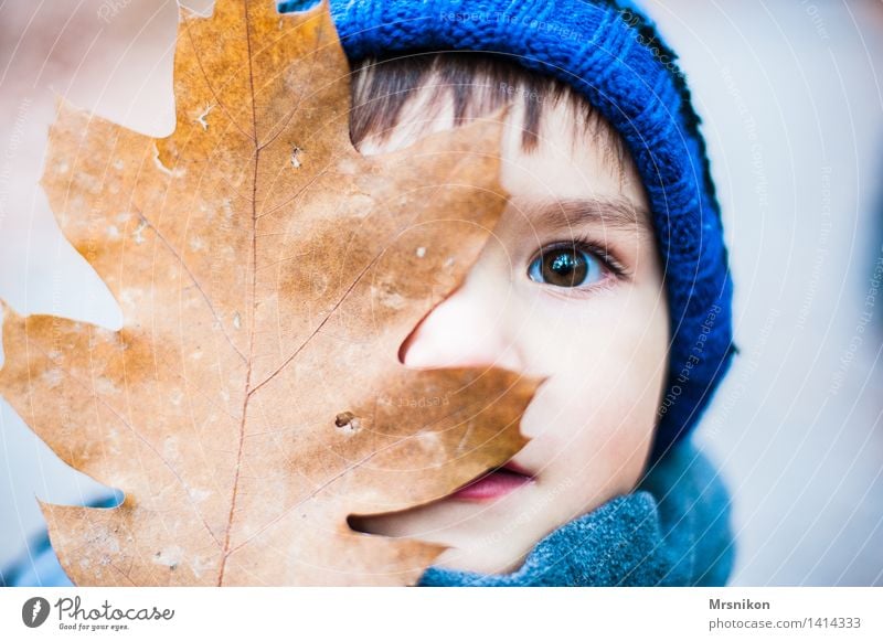 siehst du mich? Kind Kleinkind Junge Kindheit Auge 1 Mensch 3-8 Jahre Blick Herbst herbstlich Herbstbeginn Jahreszeiten Mütze braun brünett Blatt Farbfoto