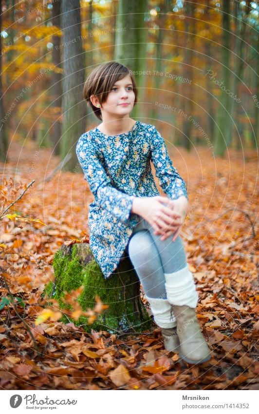 HERBSTWALD Mensch Kind Mädchen Kindheit Jugendliche Leben 1 8-13 Jahre Herbst Wald Blick sitzen warten herbstlich Herbstlaub Stulpe Kleid Baumstumpf Moos