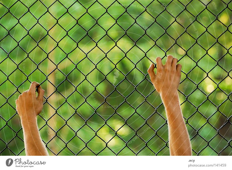 maschendrahtzaun Haut Freiheit Hand grün Angst Ende Maschendraht Zaun gefangen hilflos Draht Rechteck Guantanamo Kriminalität Gesetze und Verordnungen Panik