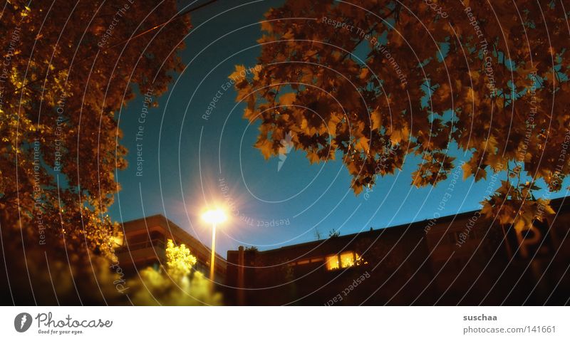 stuttgart .. 28° Sommer Nacht schön träumen Physik Minikleid erinnern Stuttgart Stadt Bar Lampe Baum Blatt Baumkrone Himmel Abend Surrealismus Wärme ausgehn