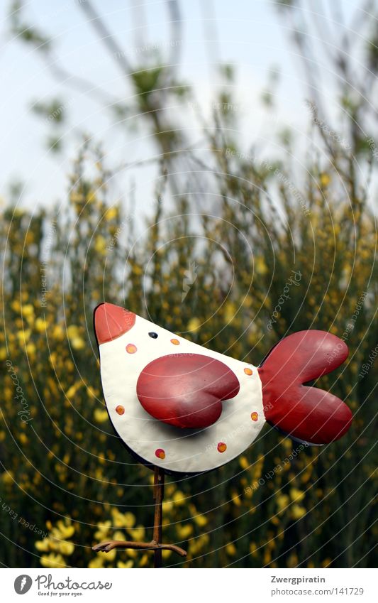 Tupfenhuhn im Ginsterbusch Haushuhn rot weiß Fleck Punkt Kreis Garten Sträucher grün Himmel blau Flügel Metall Kunst Fröhlichkeit Blüte Blume Sommer