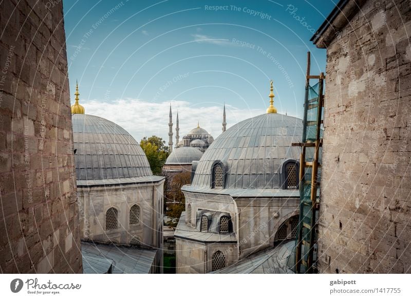 Glauben und glauben lassen! Tourismus Ausflug Abenteuer Ferne Sightseeing Städtereise Istanbul Türkei Hauptstadt Stadtzentrum Altstadt Kirche Dom Bauwerk