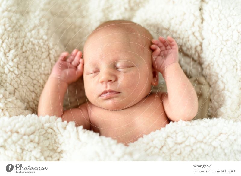 Kleiner Engel Kind Baby Kleinkind Mädchen Oberkörper 0-12 Monate schlafen klein nah rosa weiß Zufriedenheit Warmherzigkeit ruhen Decke Erholung Querformat