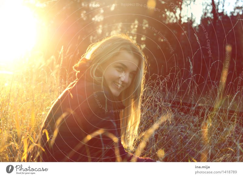 blonde Frau sitzt an einem Herbsttag im hohen Gras und lacht im Gegenlicht Mensch feminin Jugendliche Erwachsene Leben 1 18-30 Jahre Umwelt Natur Sonne