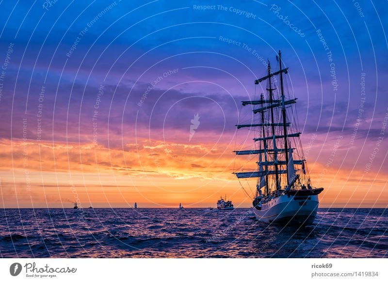 Segelschiffe auf der Hanse Sail Erholung Ferien & Urlaub & Reisen Tourismus Segeln Wasser Ostsee Meer Schifffahrt maritim gelb rot Romantik Idylle Natur