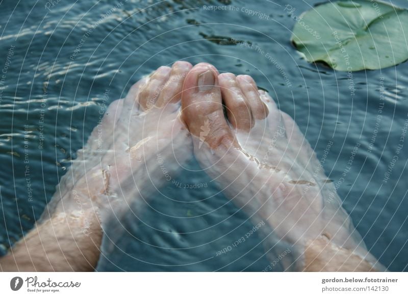 Schuhe aus, rein ins Nass Wasser Erfrischung Seerosen Fuß Zehen Wellen Zehennagel kalt Waschen Freude blasen Zehnägel Fußbad Barfuß